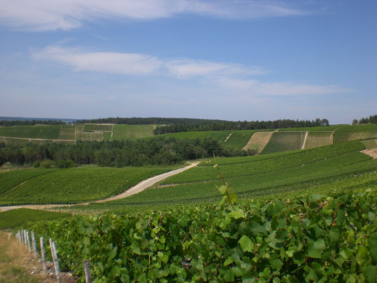 Le village- La route du Champagne en fête