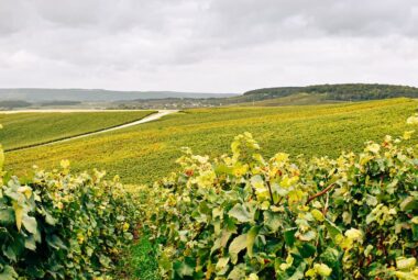 Rouvres-les-Vignes