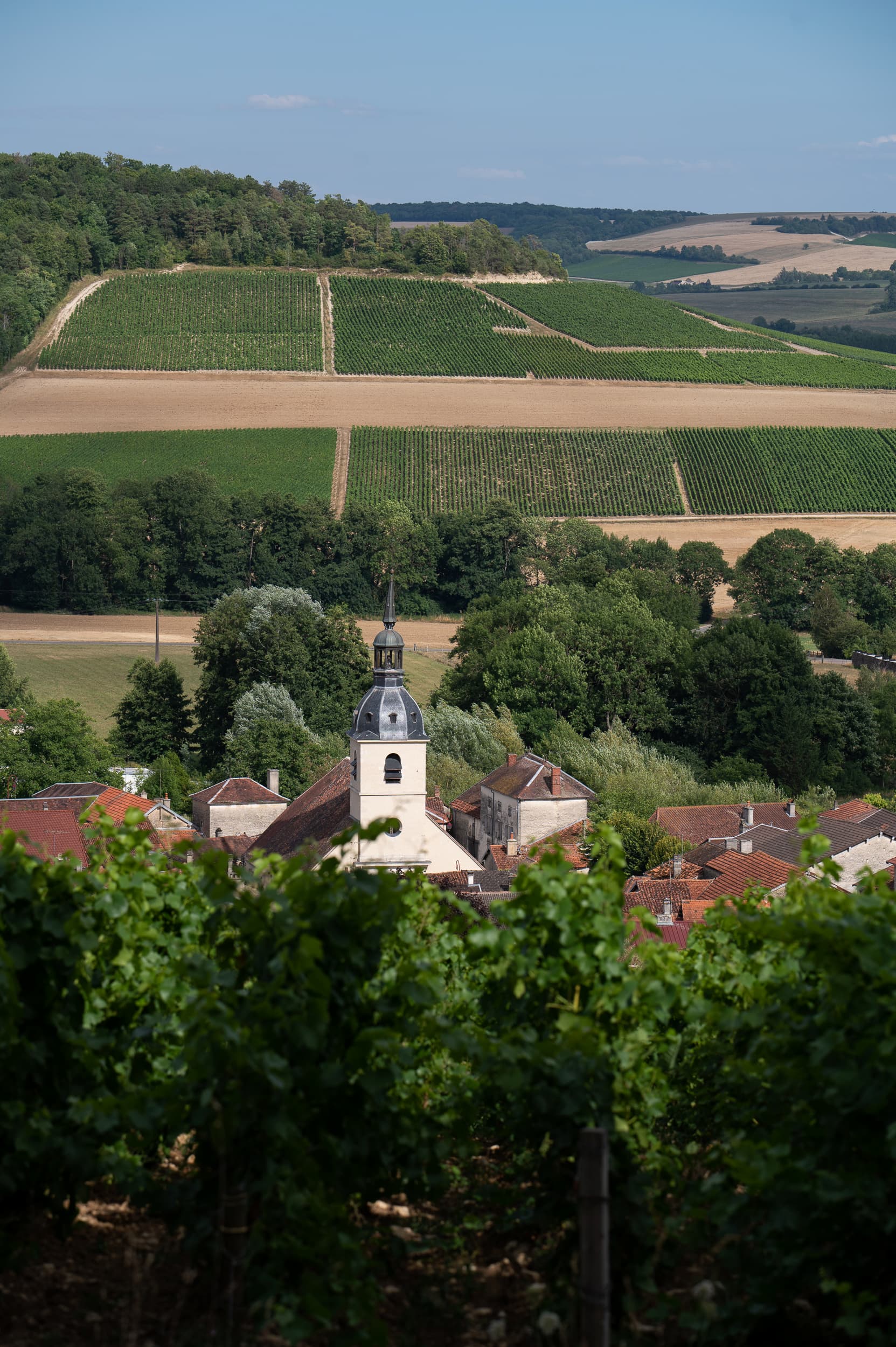 Arrentières (10) -@Champagne Jacques Chaput