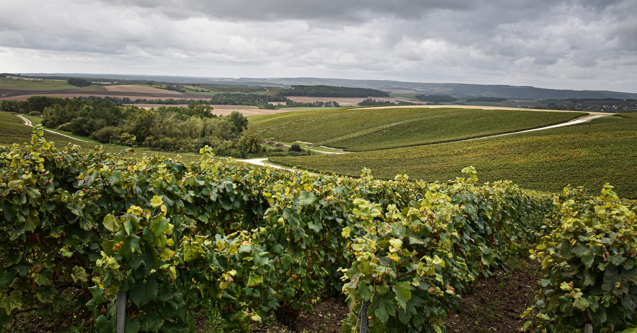 Rouvres-les-Vignes (10)